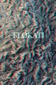 Poster do filme Flokati