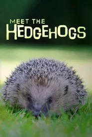 Meet the Hedgehogs movie poster