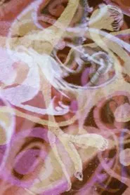 Psychedille movie poster