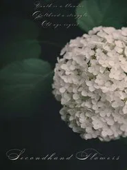 Secondhand Flowers movie poster
