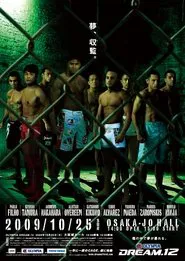 DREAM 12 movie poster
