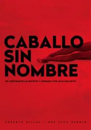 Caballo sin Nombre movie poster