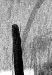 Cycle movie poster