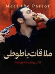 Meeting the Parrot movie poster
