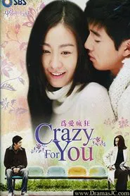 Crazy for You tv show poster