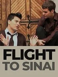 Flight to Sinai movie poster