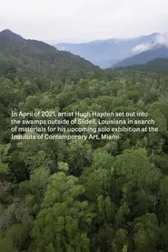 Hugh Hayden: Skeletons in the Swamp movie poster