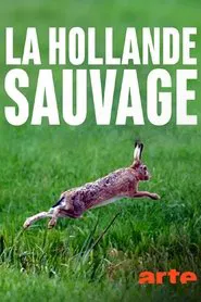 La Hollande sauvage -  La faune des polders movie poster