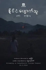 My Lost Nation movie poster