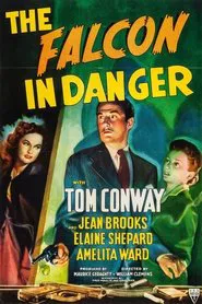 Poster do filme The Falcon in Danger