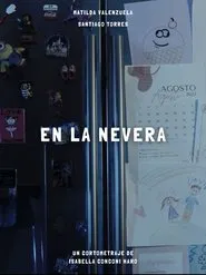 Poster do filme Inside the fridge