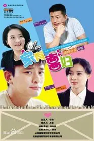 家有喜妇 tv show poster