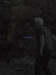 In The Pale movie poster