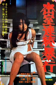 Serial Rape in a Secret Room movie poster