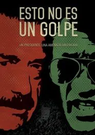 This Is Not a Coup movie poster