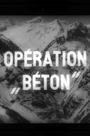 Operation Concrete movie poster