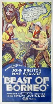 Poster do filme The Beast of Borneo