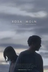 Poster do filme The Pink Cloud Syndrome