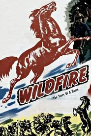 Wildfire movie poster