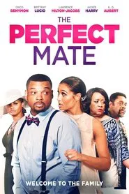 The Perfect Mate movie poster