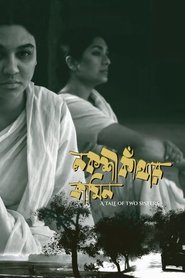 A Tale of Two Sisters movie poster