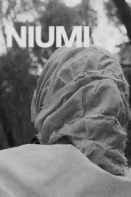 Niumi movie poster