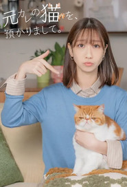Poster da série I’m Taking Care of My Ex’s Cat.