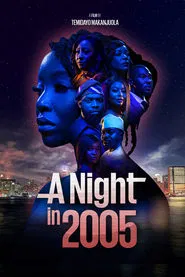 Poster do filme A Night in 2005