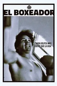 Poster do filme The Boxer
