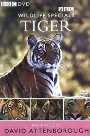 Tiger: The Elusive Princess movie poster