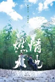 燃情大地 tv show poster