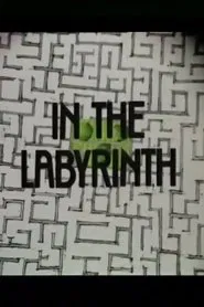 In the Labyrinth movie poster