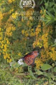 Mariposas Azules Del Cerro Del Topo Chico movie poster