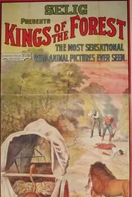 Kings of the Forest movie poster