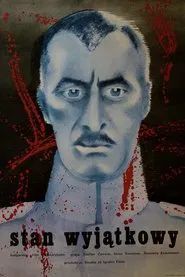 Amendment to the Law for the Defense of the State movie poster