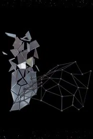 Contra-Internet Inversion Practice #3: Modeling Paranodal Space movie poster