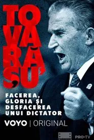 Tovarășu': facerea, gloria și desfacerea unui dictator movie poster