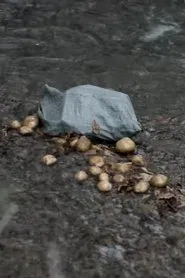 The Potato Eaters movie poster