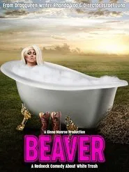 Poster do filme Beaver