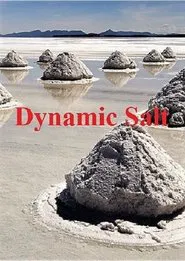 Dynamic Salt movie poster