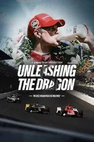 Unleashing the Dragon movie poster