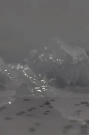 Stella 50.4N1.5E movie poster