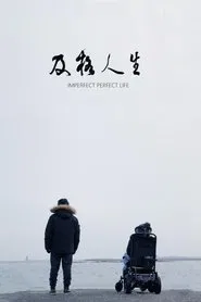 Imperfect Perfect Life movie poster