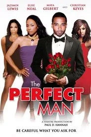 The Perfect Man movie poster