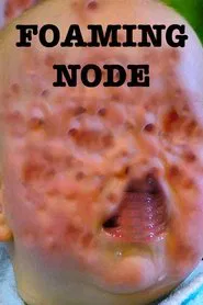 The Foaming Node movie poster