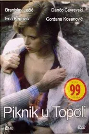 Picnic in Topola movie poster