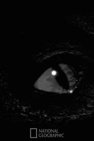 Prehistoric Monsters Revealed movie poster