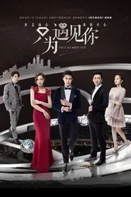 Nice To Meet You tv show poster