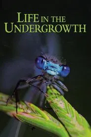 Life in the Undergrowth tv show poster