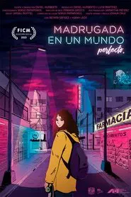 Madrugada En Un Mundo Perfecto movie poster